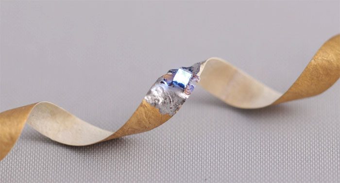 Testing chip installation on mushroom shell