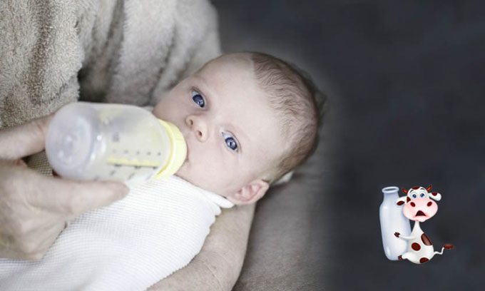 Infants under 12 months should not drink cow's milk instead of breast milk or formula.