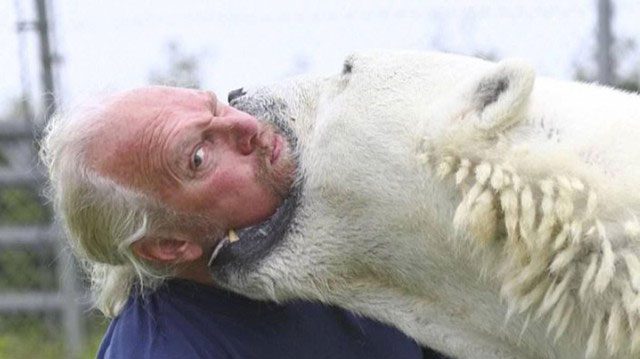 Even putting his face near the bear's teeth.