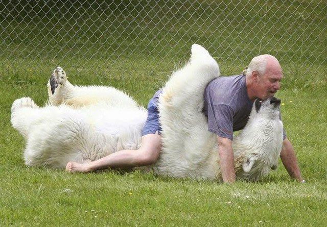 Having fun next to a bear three times bigger than himself.
