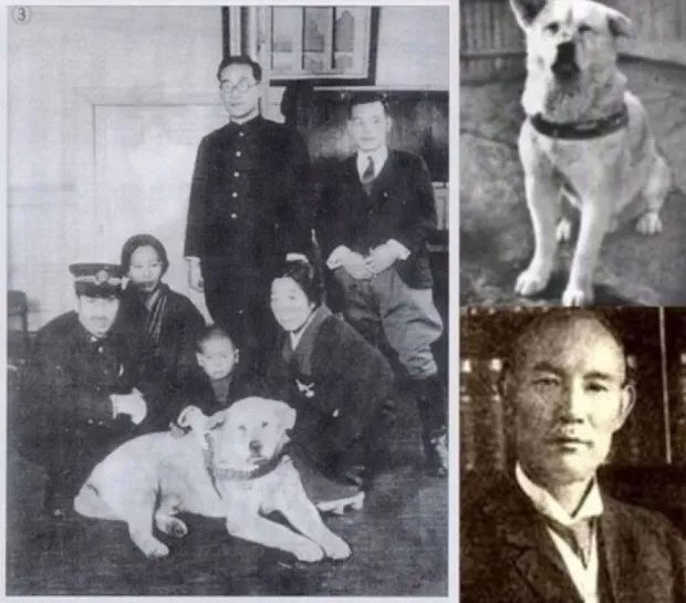 Photo of Hachiko with the Ueno family