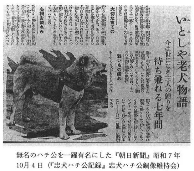 The story of Hachiko published in Asahi Shimbun in 1932