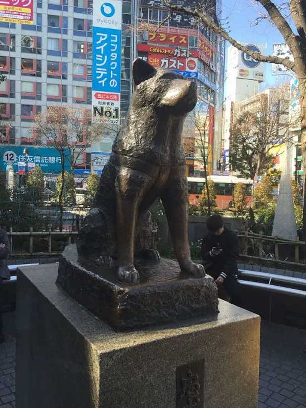 The statue of Hachiko today in the heart of Tokyo