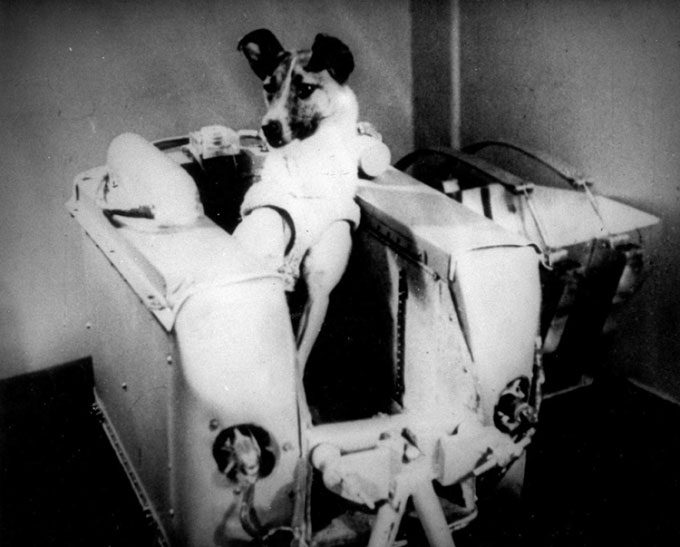 The Sputnik 2 spacecraft carrying astronaut dog Laika launched on November 3, 1957.