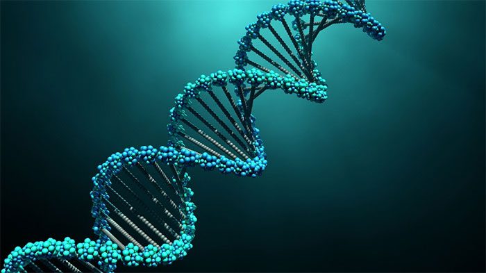 New DNA technology has shaken the evolutionary tree of many species.