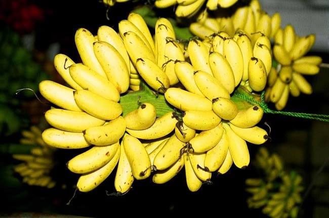 Eating 2-3 Royal Bananas daily helps produce hemoglobin in the blood.