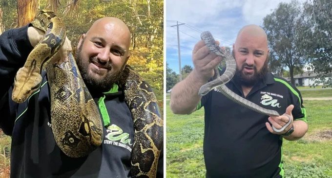 Snake catcher Stewy