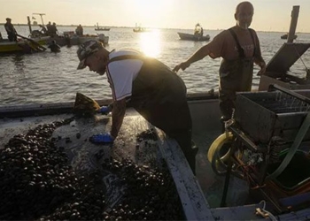 climate change becomes more serious but these foods will become more expensive 123142
