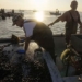climate change becomes more serious but these foods will become more expensive 123142