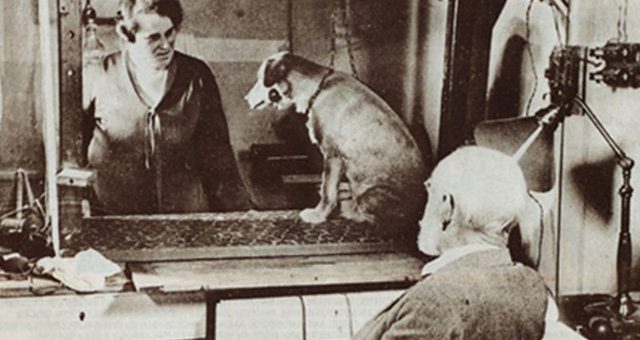 Pavlov's experiment helped uncover what is known as the conditioned response.