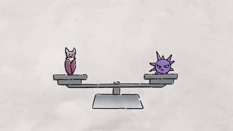 Bats have also developed an effective system for repairing damaged DNA.