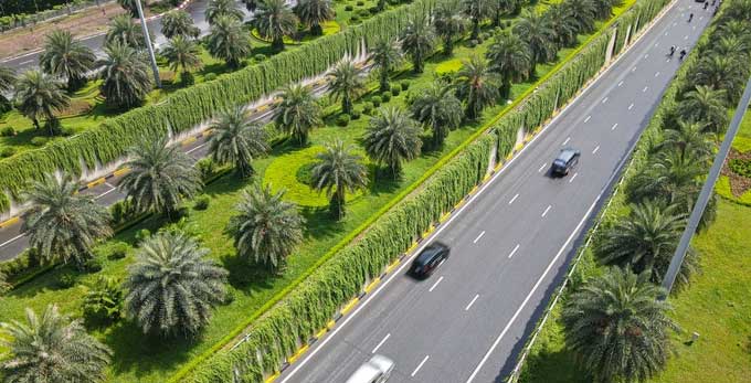 The Indian trumpet vine pathway makes an impressive highlight for the street.