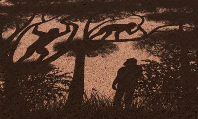 Graphic depiction of an evolutionary breakthrough in human ancestry observing relatives in trees