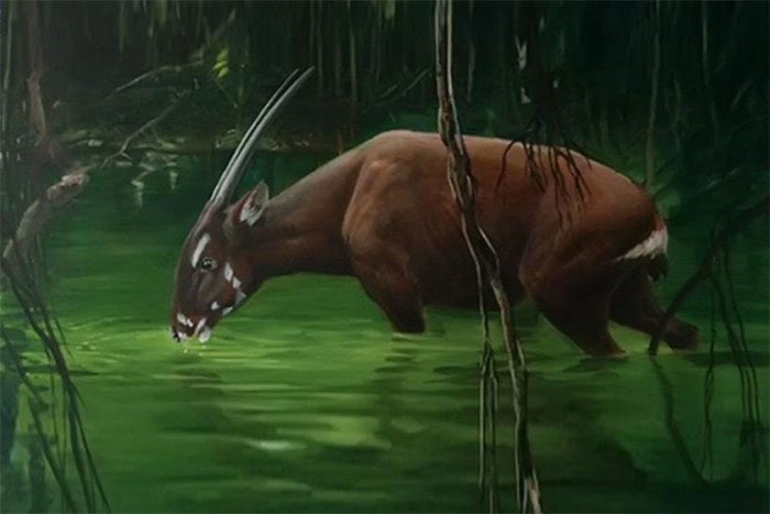 The 31st Southeast Asian Games has chosen the image of the Saola as the mascot of the event.