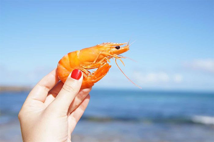 Concrete strength can be enhanced by adding shrimp shells.