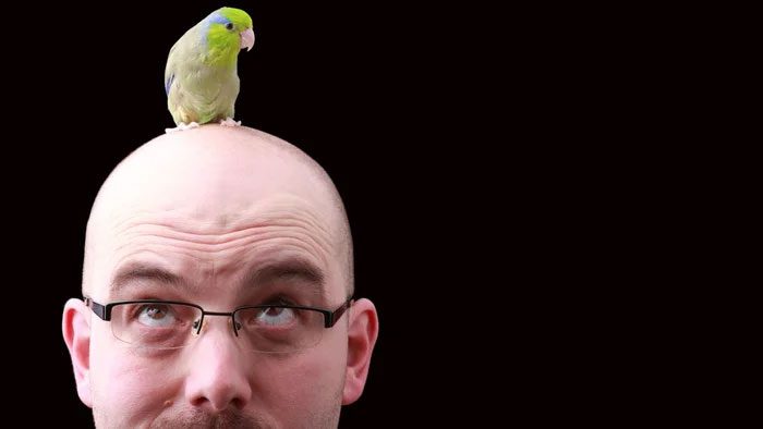 Research shows that birds and mammals have equivalent levels of cognition.