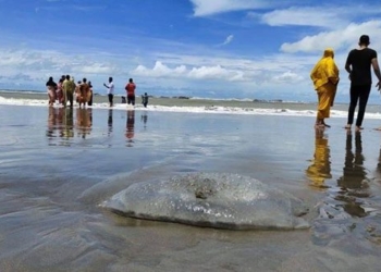 confirming milk station placed on bangladesh coast 122354