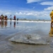 confirming milk station placed on bangladesh coast 122354