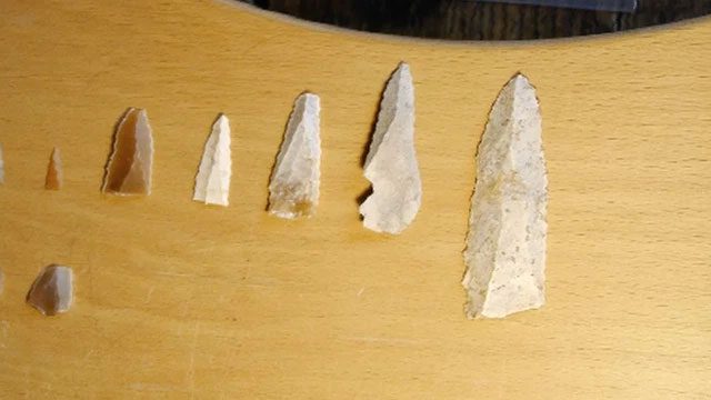 The tools found with the child's tooth.