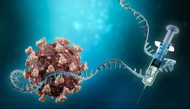 mRNA technology may help stimulate heart cell production.