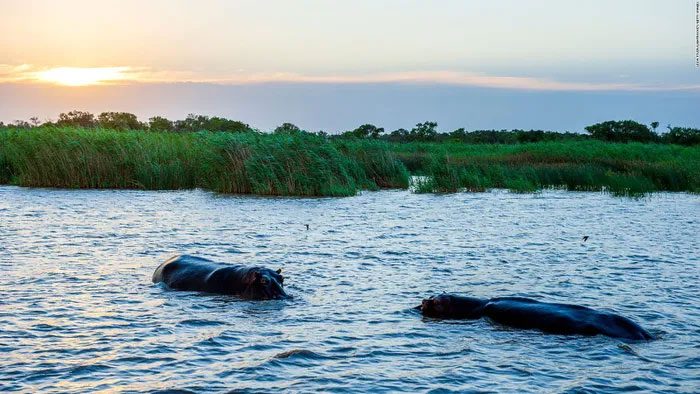 Simangaliso Wetland Park on the coast of South Africa