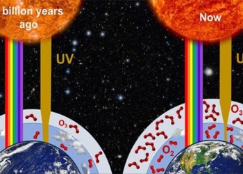 creatures of earth born in horrific places like outer space 118243