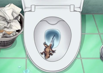 creatures that can invade your bathroom and make you cry 120339