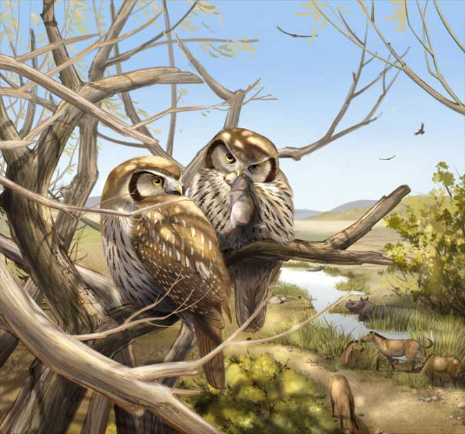 Simulation of Miosurnia diurna hunting during the day