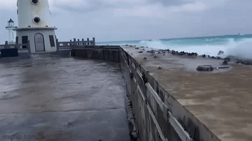 Crabs blown over the seawall by strong winds.