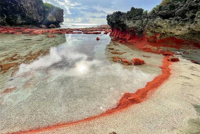 This small island is famous for the red crab species scientifically named Gecarcoidea natalis.