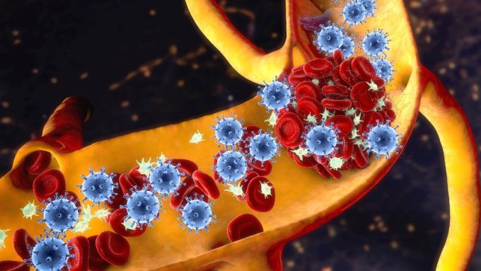 Blood clots can obstruct blood vessels, leading to many dangerous diseases