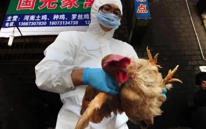 China has faced several outbreaks of avian influenza in humans.
