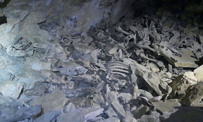 Human and animal bones piled inside the Dingqiong cave complex.