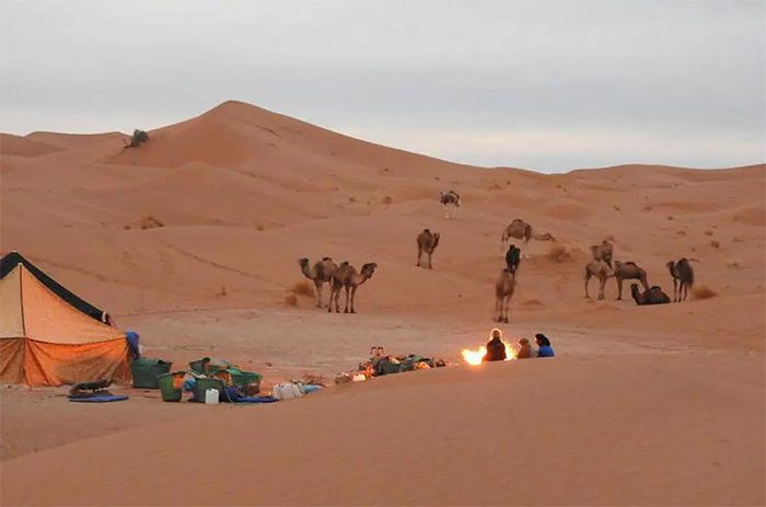 According to experts, these strange brick houses are the "creations" of the Bedouin.