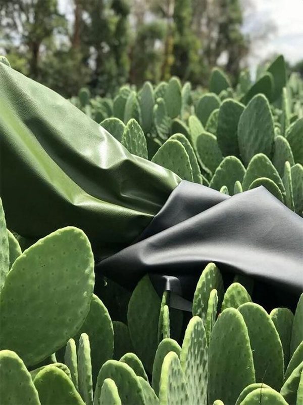 Artificial leather made from cactus