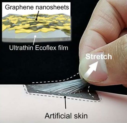 The biological skin consists of elastic membranes and graphene nanoplates.