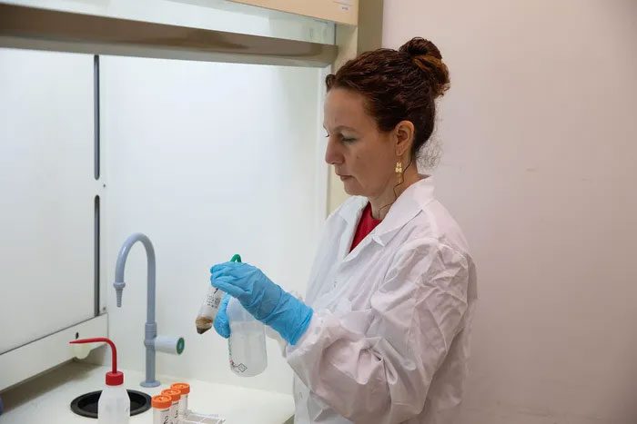 Dr. Dafna Langgut