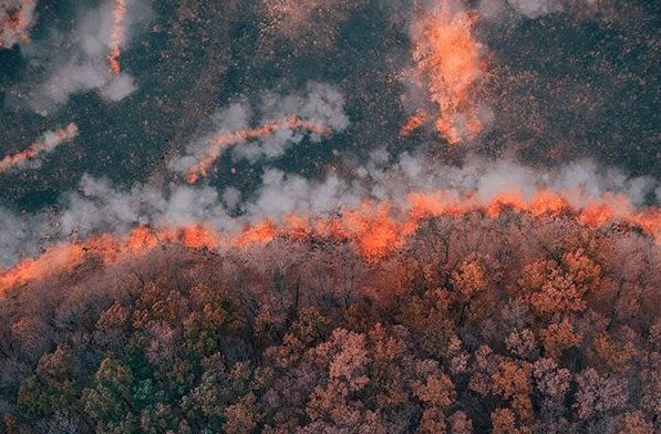 Silurian landscape with enough vegetation to spread large wildfires.