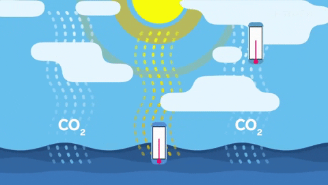 CO2 levels are causing the atmosphere to warm, thinning clouds.