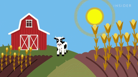 Farms would need more water if there were no rain.