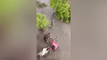 dan lang bat ca sau khong lo