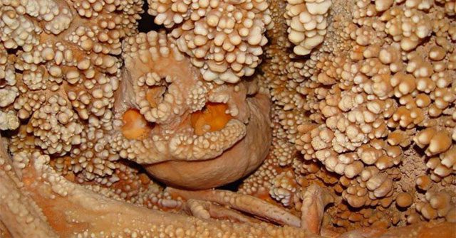 Close-up of the fossilized remains of another species of man preserved by nature for 130,000 years