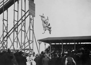 dangerous sports horses in the 19th century 123561
