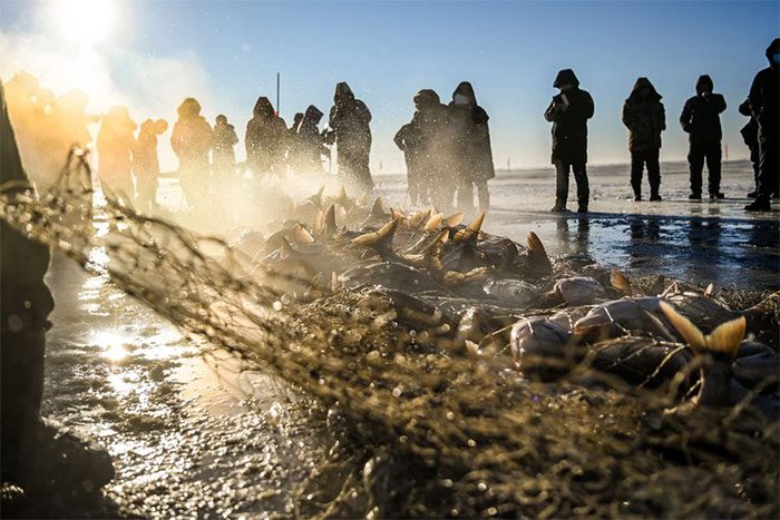 The lively fishing activity attracts many tourists.
