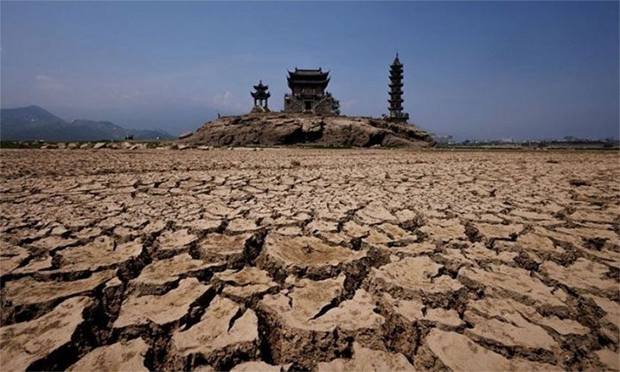 Lacthing Island in Lake Poyang.