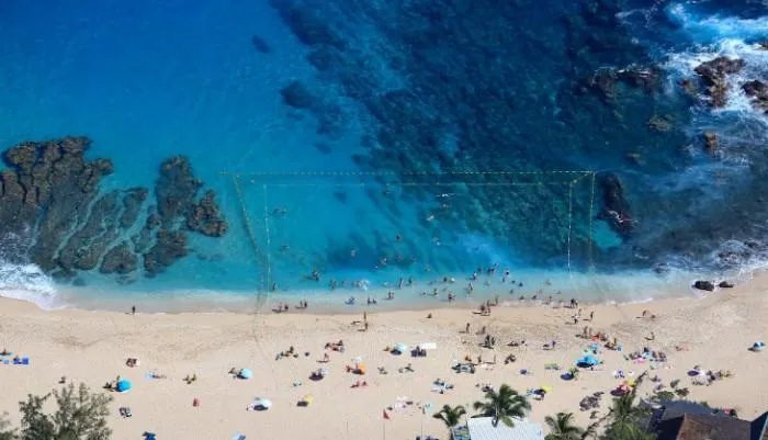 Réunion Island experiments with barrier methods around swimming areas to prevent sharks.