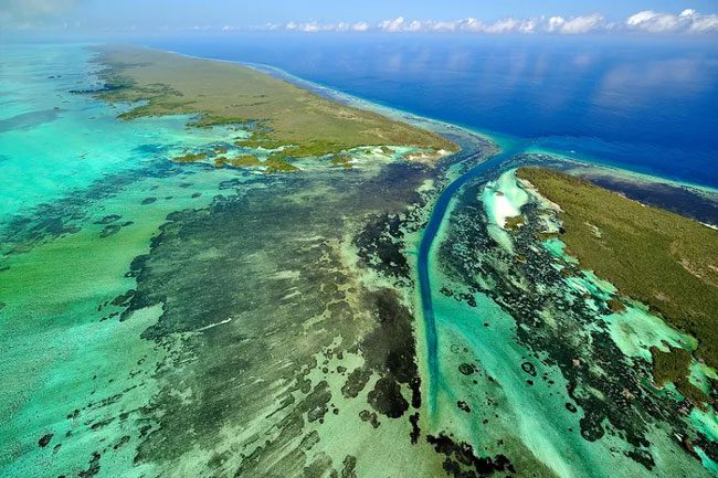 Aldabra Atoll of Seychelles in the Indian Ocean