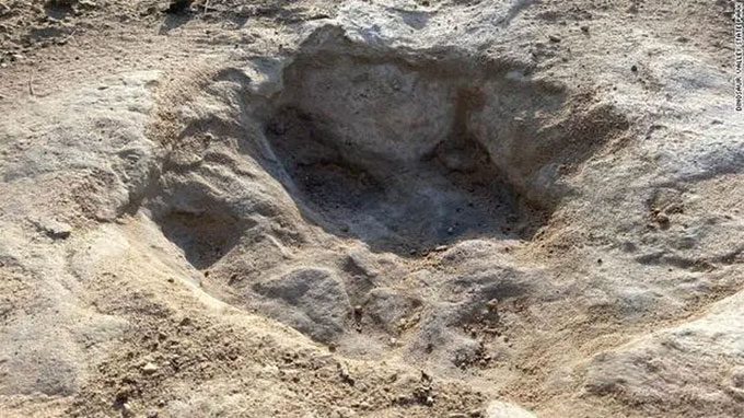 Fossilized dinosaur footprints form under different conditions than the dinosaurs themselves.