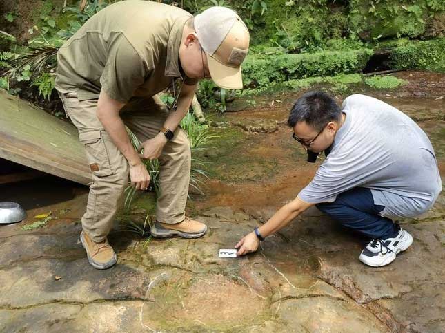 These are the footprints of the Brontosaurus.
