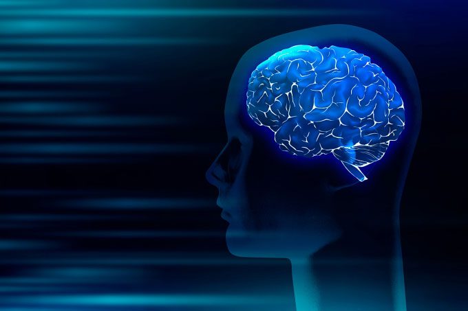 Experts discover two genes ADAM32 and GluR1 related to stroke